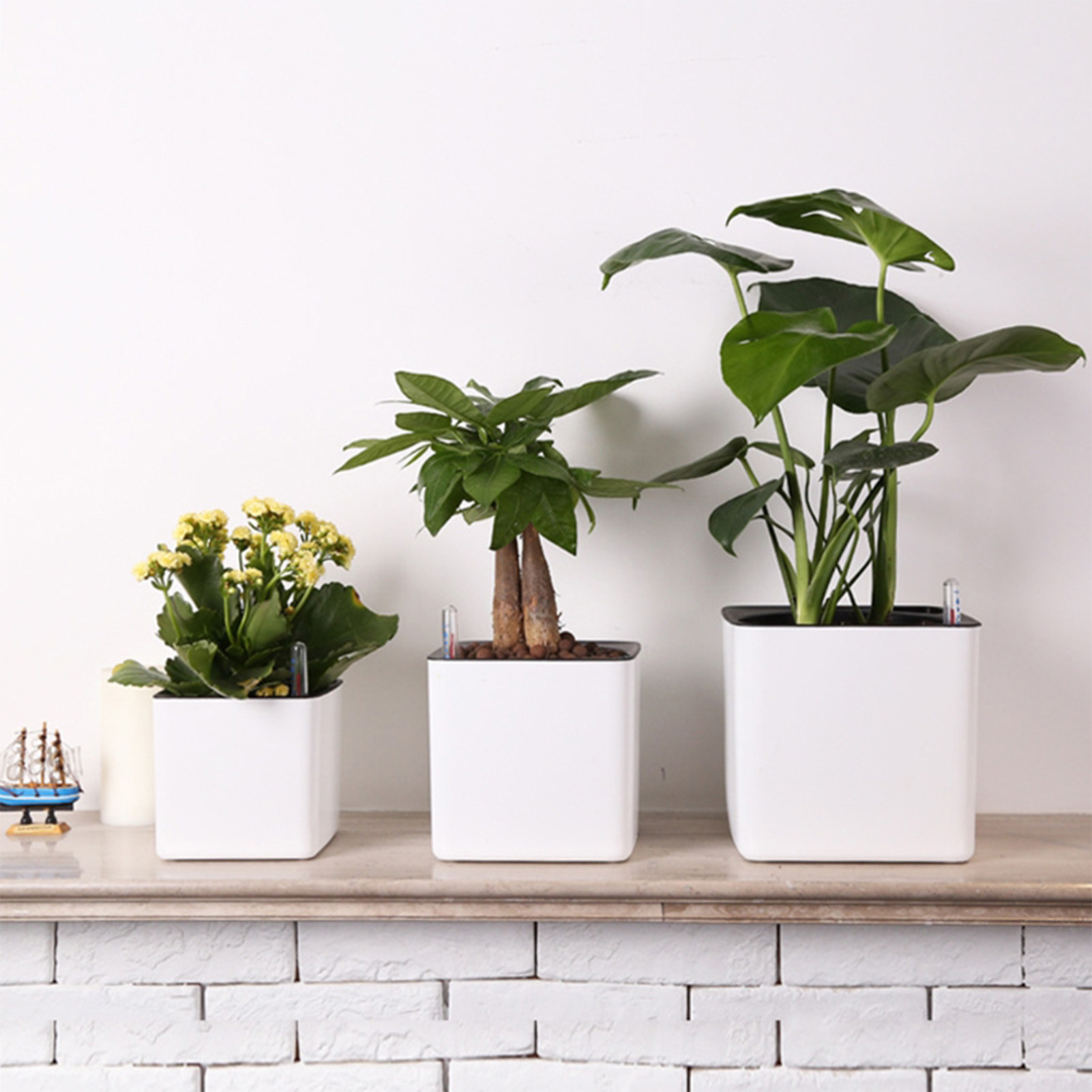 Aloe Vera Pot - Kendi Kendine Sulayan Saksı Su Seviyesi
