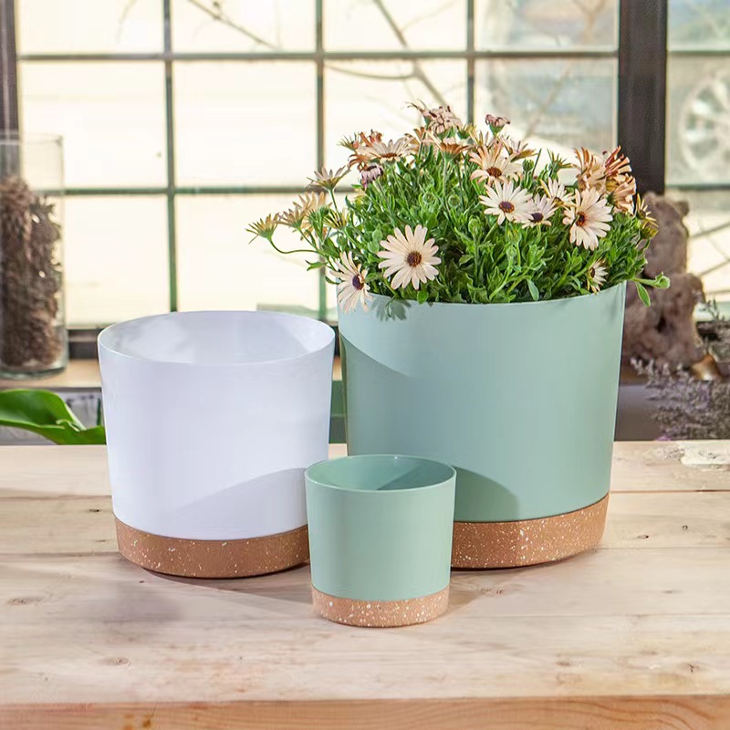 Aloe Vera Pot - Bitki saksıları, iç ve dış mekan