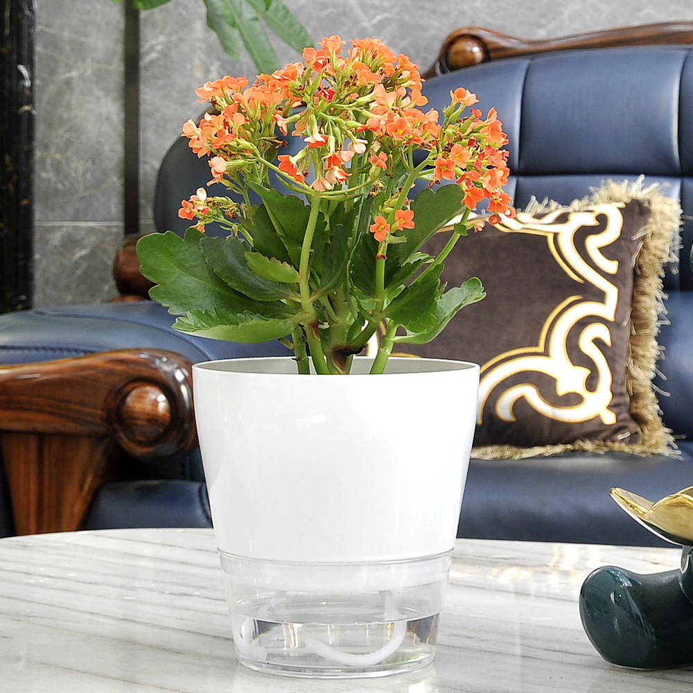 Drenaj Deliği ile Tembel Çiçek - Aloe Vera Pot incelemesi ve fiyatı