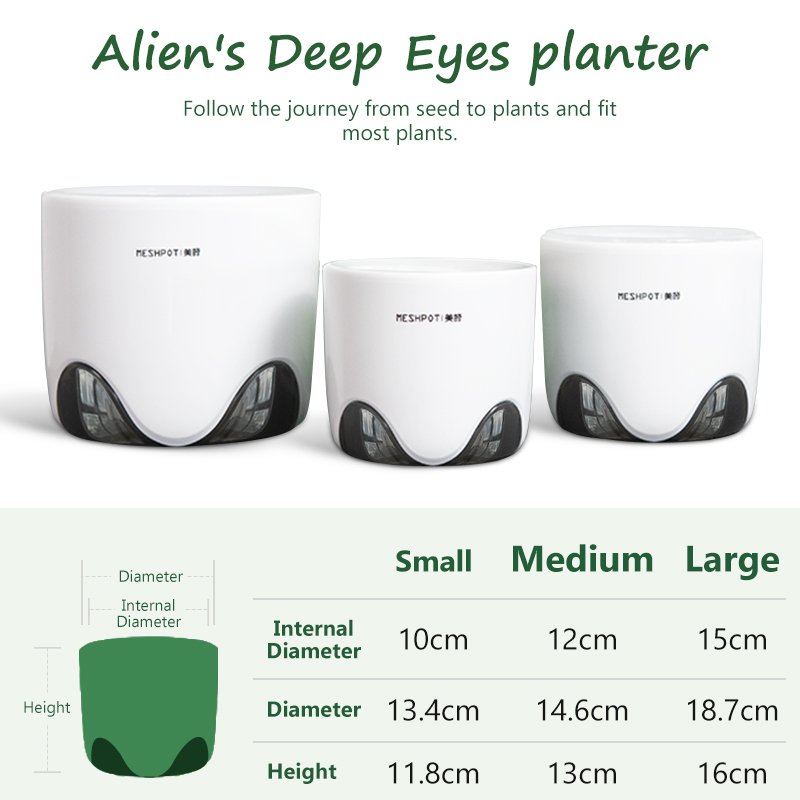 Meshpot Orkide Saksıları Delik - Aloe Vera Pot incelemesi ve fiyatı